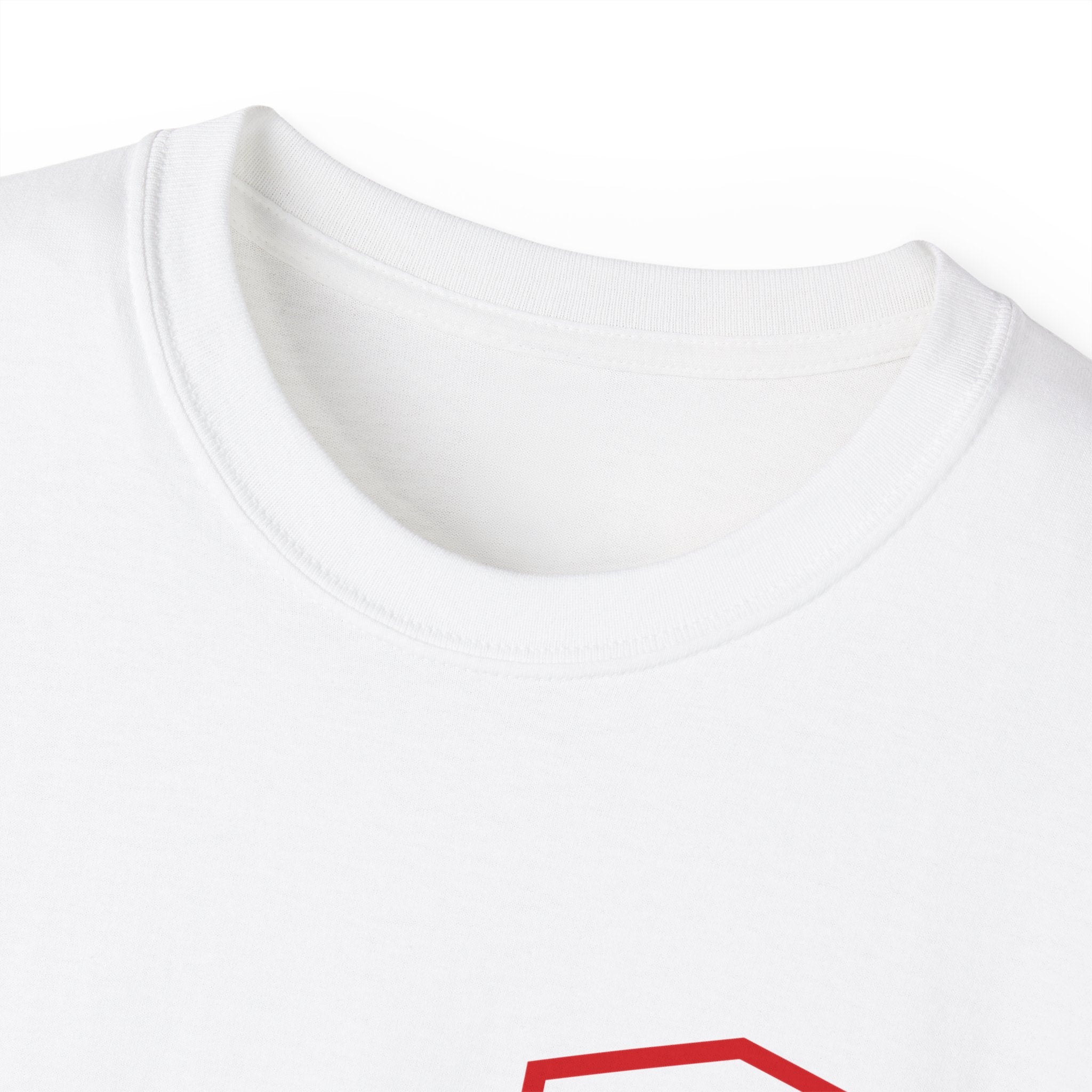 Unisex Ultra Cotton Tee